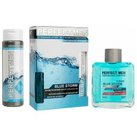 Набор Perfect Blue Storm (Шампунь 250мл + Лосьон после бритья 100мл)