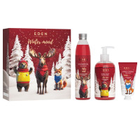 Подарочный набор №3 Winter mood Имбирь и корица (Гель для душа 320мл + Жидкое мыло 245мл + Крем для рук 50мл)