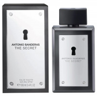 The Secret Туалетная вода мужская 100мл 