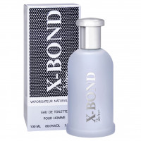 Туалетная вода мужская X-Bond Silver 100мл 