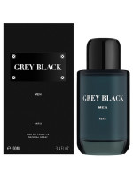 Туалетная вода мужская Grey Black 100мл